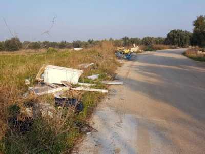 Lama Balice, il parco naturale diventato una discarica a cielo aperto